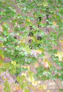 川柳イメージ