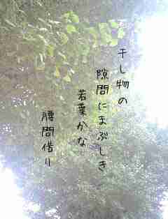 川柳イメージ