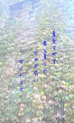 川柳イメージ